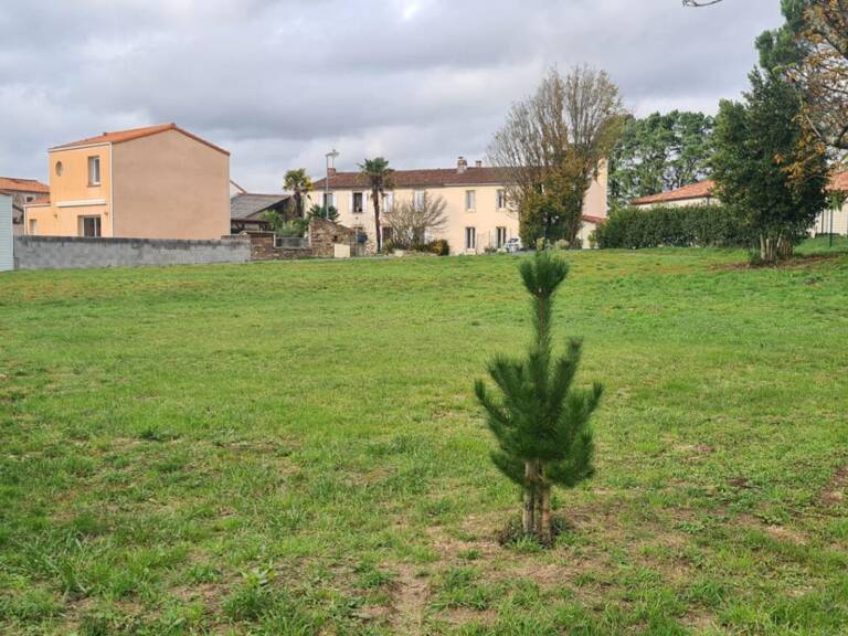 Terrain constructible, libre de constructeur, non viabilisé, Gorges 1161 M² avec 401 M² en zone Uc — photo 1