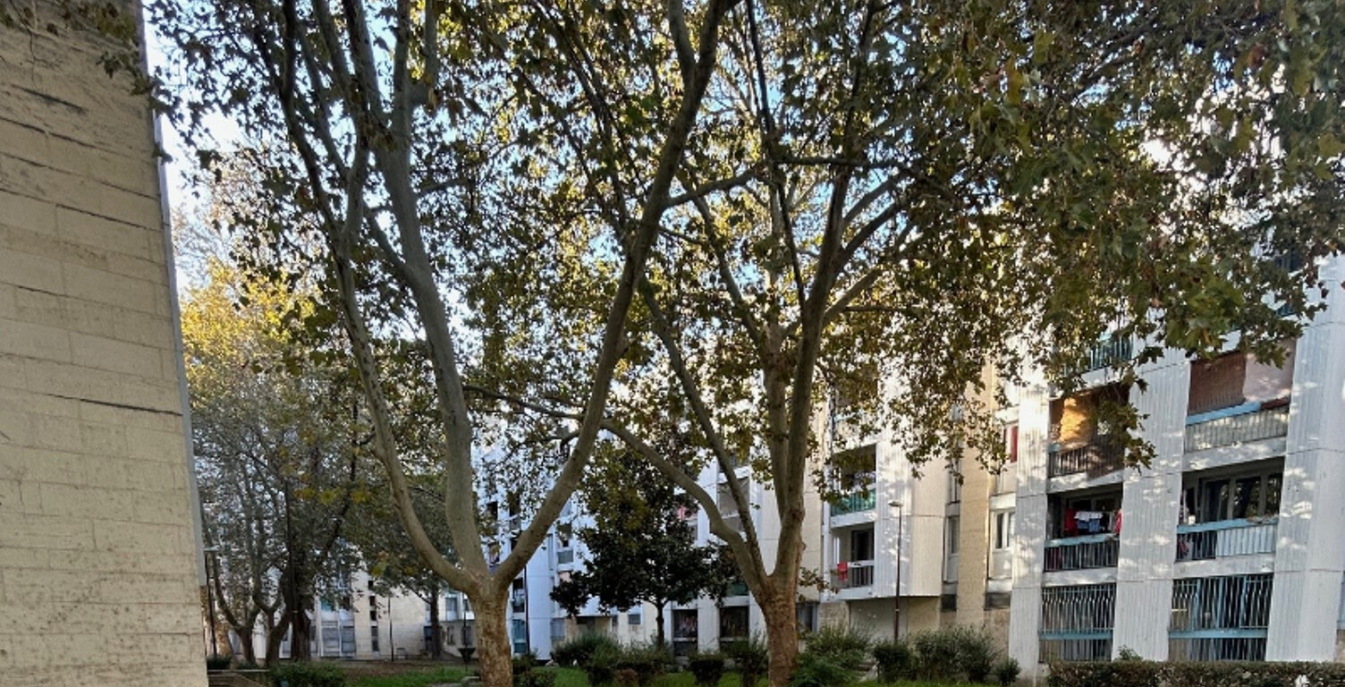 T3 - AVIGNON - LA TRAMONTANE — photo 1