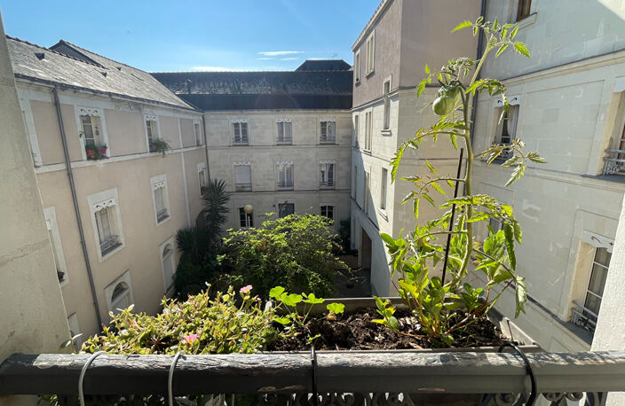 Angers - La Doutre : T3 lumineux avec vue sur cour paysagée et grand grenier — photo 4