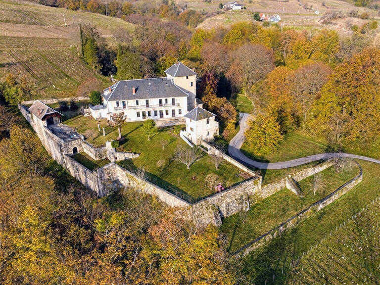 Propriété historique avec domaine viticole et vue panoramique — photo 1