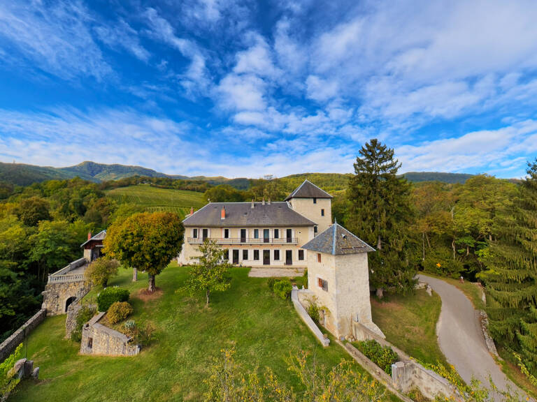 Propriété historique avec domaine viticole et vue panoramique — photo 1