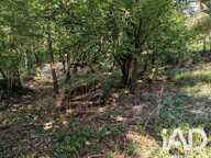 Vente Terrain à bâtir 19 923 m&sup2; — photo 4