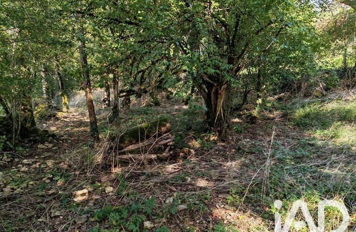 Vente Terrain à bâtir 19 923 m&sup2; — photo 4