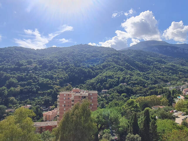 MENTON ROUTE DE GORBIO — photo du bien