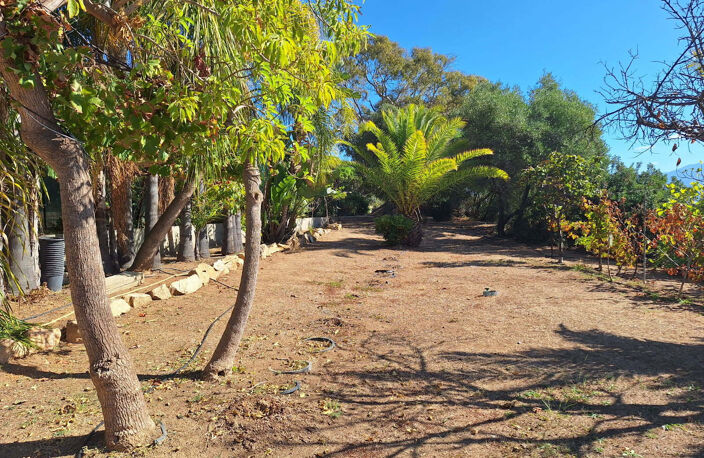 Route des Sanguinaires villa  F4 les Pieds dans L'eau vue me — photo 3