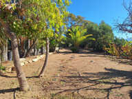 Route des Sanguinaires villa  F4 les Pieds dans L'eau vue me — photo 3