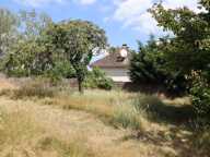 TERRAIN PLAT CONSTRUCTIBLE 880 m2 — photo 4