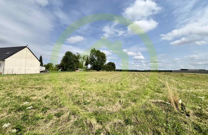 Terrain — photo 2