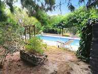MAISON VIGNERONNE DE 145 M²  TERRAIN ARBORÉ DE 1 467 M² AVEC PISCINE — photo 2