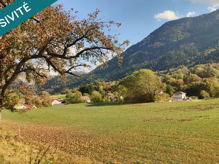 TERRAIN À FORT POTENTIEL  10 961 M² DONT 6 596 M² CONSTRUCTIBLES — photo 1