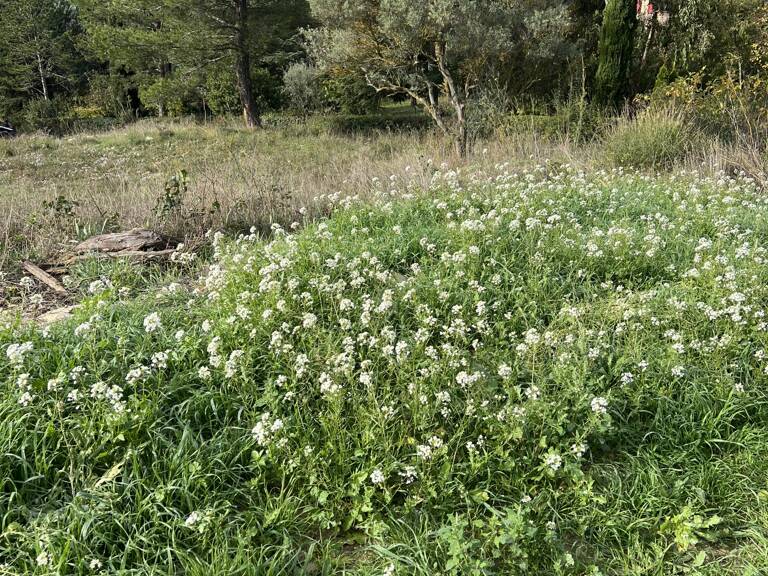 Vente Terrain à bâtir 828 m&sup2; — photo 1