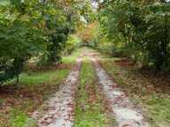 Vente Maison de campagne 3 pièces — photo 2