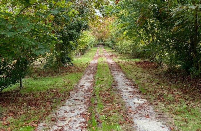 Vente Maison de campagne 3 pièces — photo 2