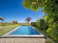 BEAUJOLAIS DES CRUS, PROPRIETE EN PIERRES, 6 CHAMBRES, GITE, PARCELLE DE VIGNES — photo 2