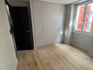 T3 RDC   CENTRE-VILLE — photo 2