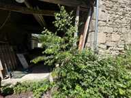 Grange à vendre dans la Creuse – terrain 569 m² — photo 4