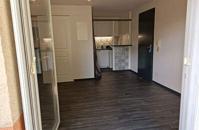 TOULOUSE 31200 - T1 REZ DE JARDIN — photo du bien