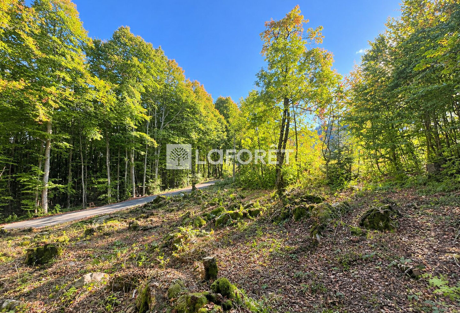 Terrain constructible de 1 023 m² avec permis de construire accordé — photo 1