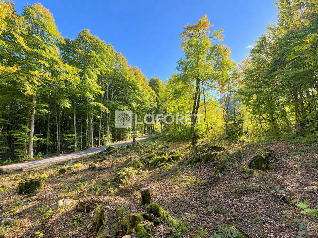 Terrain constructible de 1 023 m² avec permis de construire accordé — photo du bien