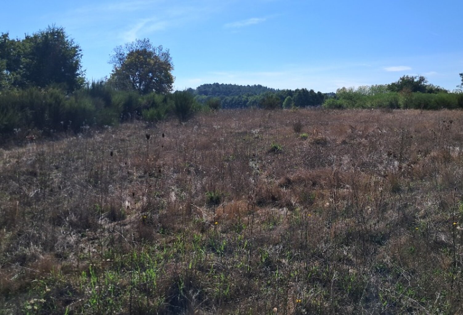Terrain à bâtir à Montguyon (17270) — photo 1