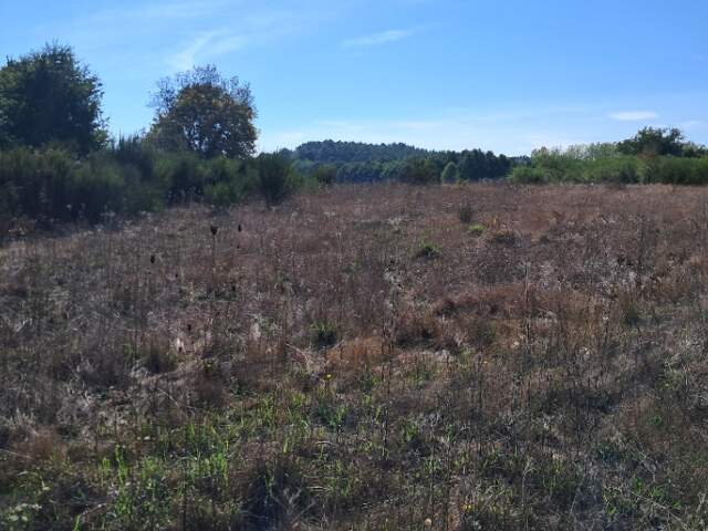 Terrain à bâtir à Montguyon (17270) — photo du bien