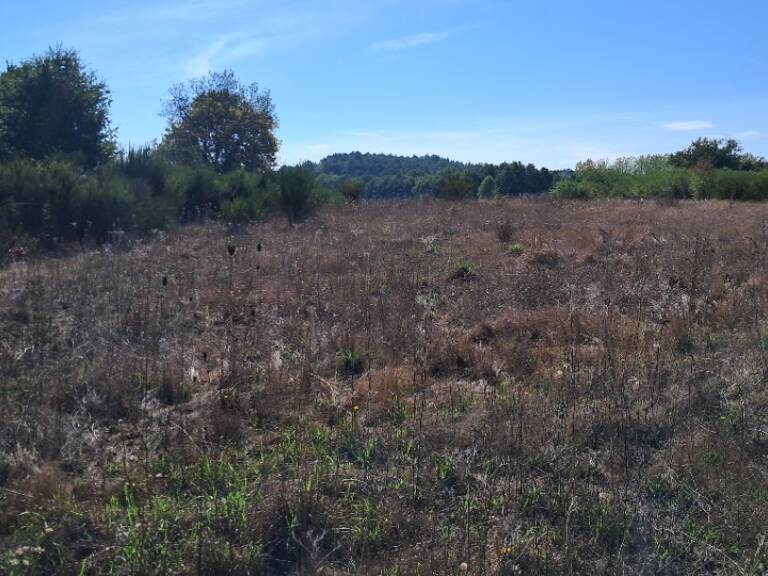 Terrain à bâtir à Montguyon (17270) — photo 1