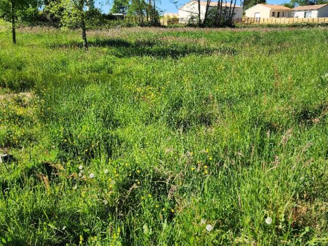 Terrain à bâtir à Montguyon (17270) — photo du bien