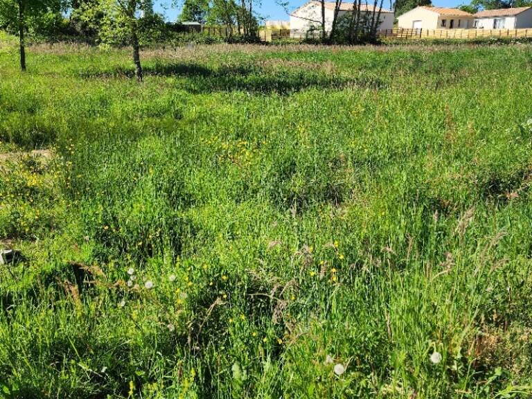 Terrain à bâtir à Montguyon (17270) — photo 1