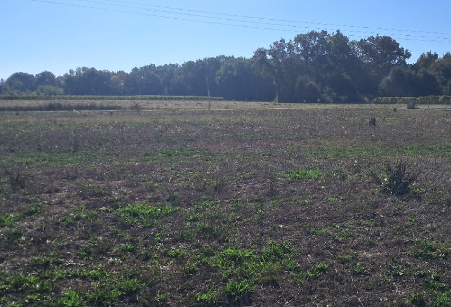 Terrain à bâtir à Mérignac (17210) — photo 1