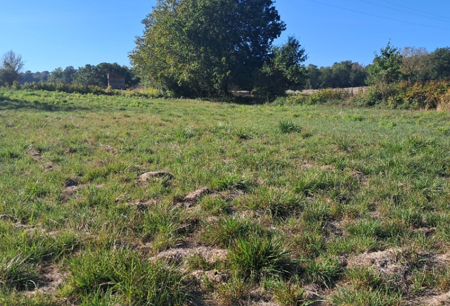 Terrain à bâtir à Sousmoulins (17130) — photo 1