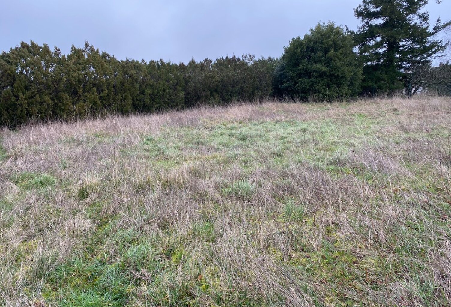 Terrain à bâtir à Pont-l'Abbé-d'Arnoult (17250) — photo 1