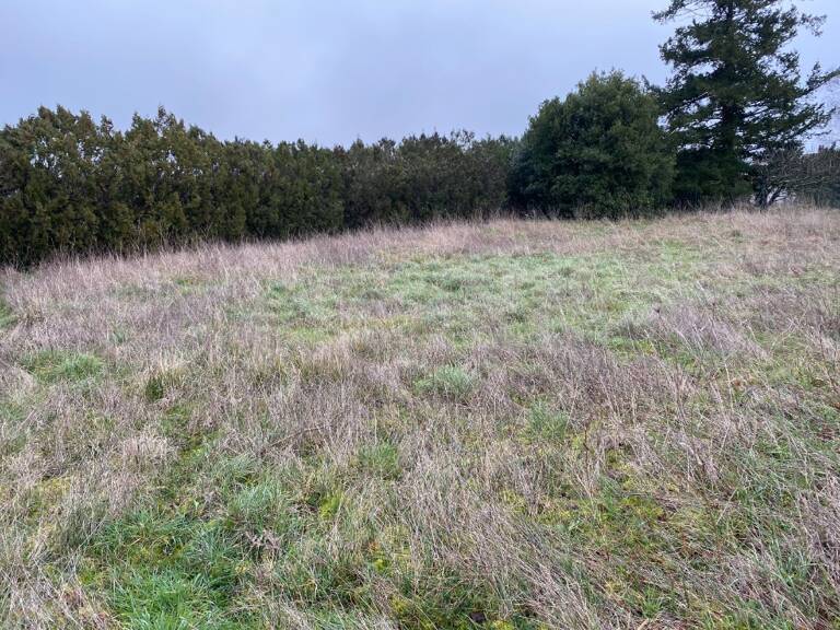 Terrain à bâtir à Pont-l'Abbé-d'Arnoult (17250) — photo 1