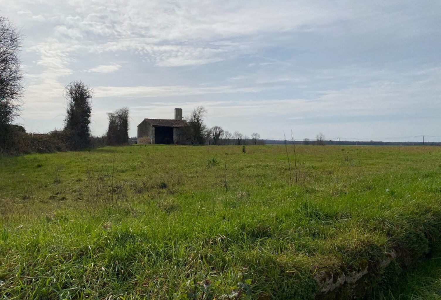Terrain à bâtir à Plassay (17250) — photo 1