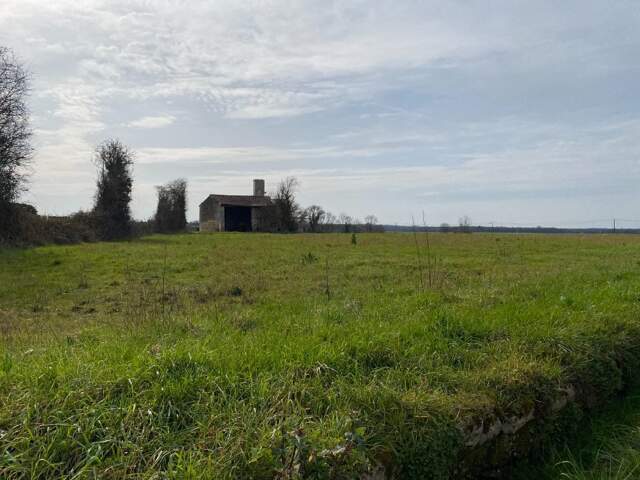 Terrain à bâtir à Plassay (17250) — photo du bien