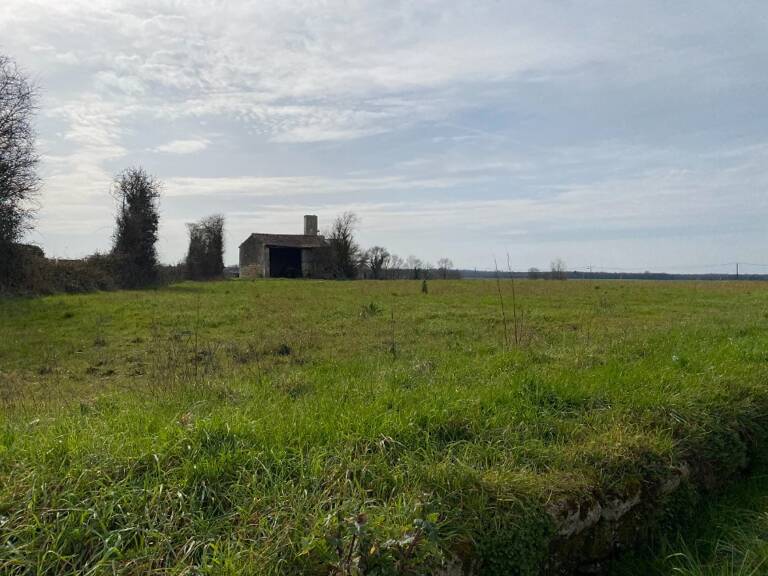 Terrain à bâtir à Plassay (17250) — photo 1
