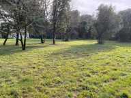 Terrain à bâtir à Saint-Vaize (17100) — photo 2