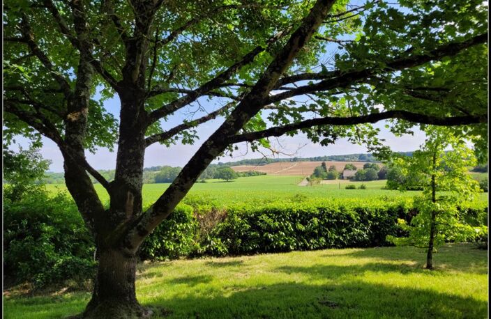 Plain-pied, jardin arboré, garage, vue, charme, proximité village — photo 5