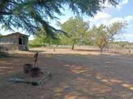 Maison de 116m2 avec combles de 79m2 et terrain de 2091m2 — photo 2