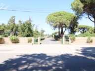 Corse, Bungalow au bord de la mer, CASTELLARE DI CASINCA (2b) — photo 4