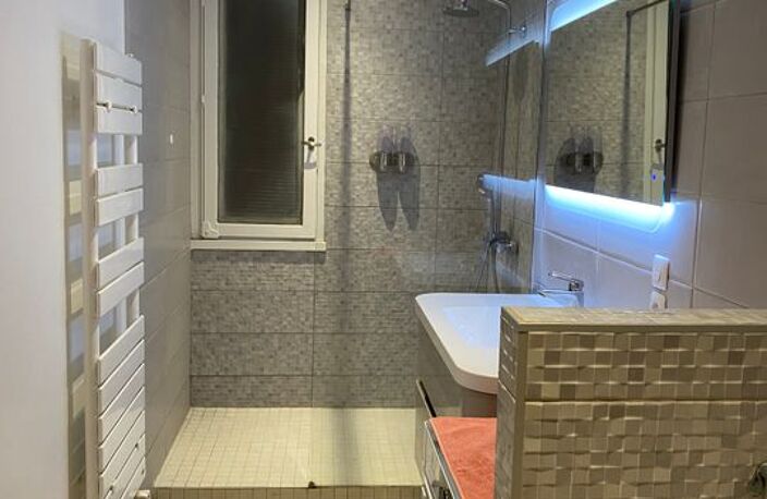Appartement de 50m2 à louer sur Villeurbanne — photo 4