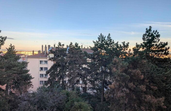 Appartement de 36m2 à louer sur Lyon 01 — photo 4