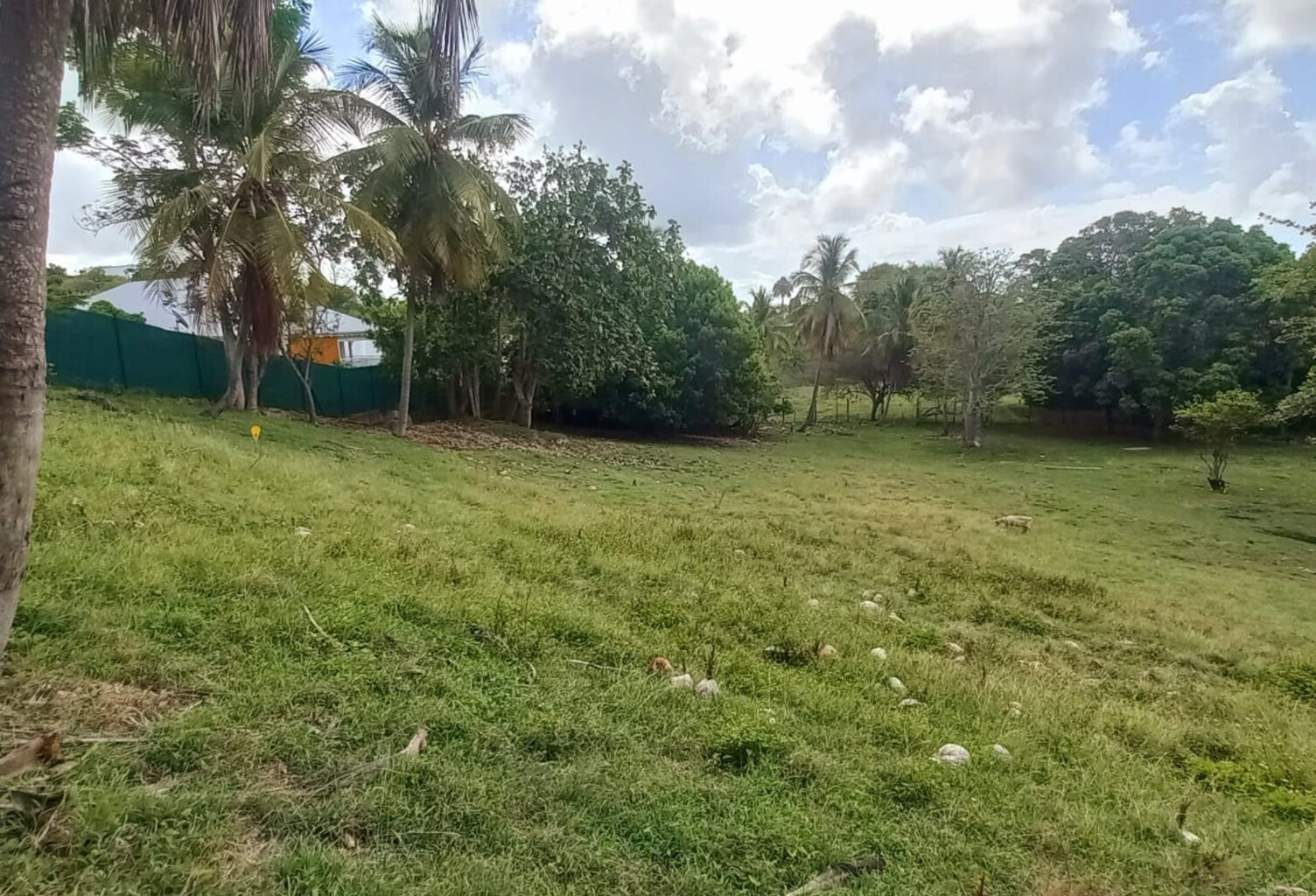 Terrain constructible à vendre DAMPIERRE LE GOSIER (971) — photo 1