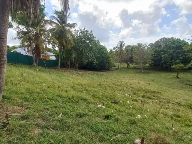 Terrain constructible à vendre DAMPIERRE LE GOSIER (971) — photo du bien