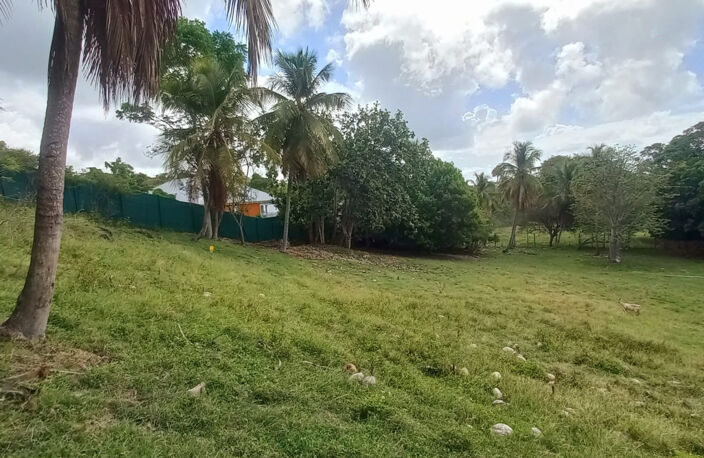 Terrain constructible à vendre DAMPIERRE LE GOSIER (971) — photo 2