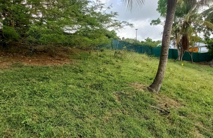 Terrain constructible à vendre DAMPIERRE LE GOSIER (971) — photo 3