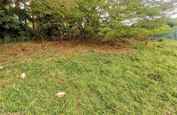 Terrain constructible à vendre DAMPIERRE LE GOSIER (971) — photo 5