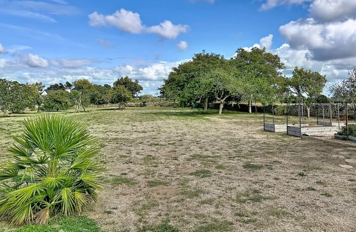 PLOZÉVET – CORPS DE FERME EN PIERRE RÉNOVÉ – 4 700 M² DE TERRAIN – VASTES DÉPENDANCES — photo 4