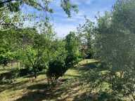 SAINT-ANDRE DE SANGONIS (34725), à vendre à maison de ville T7 209m² sur terrain de 1090m² — photo 4