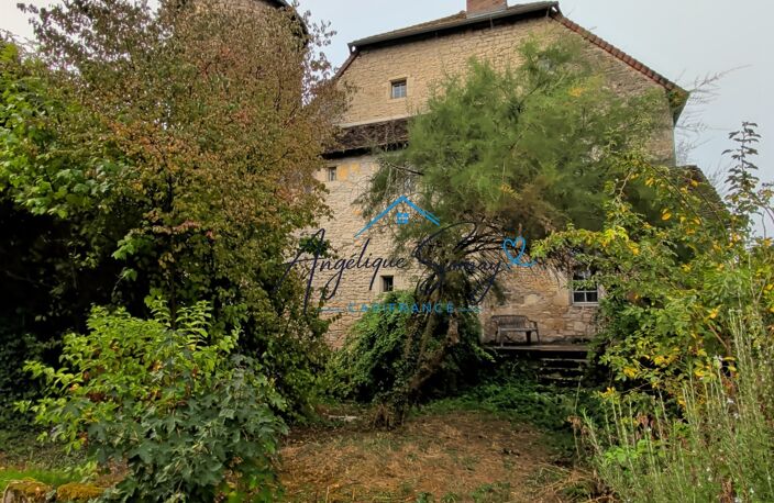 ARLAY – DEMEURE EN PIERRE DU XVIe SIÈCLE, TOUR ET CAVE VOÛTÉE — photo 2