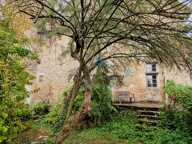 ARLAY – DEMEURE EN PIERRE DU XVIe SIÈCLE, TOUR ET CAVE VOÛTÉE — photo 3